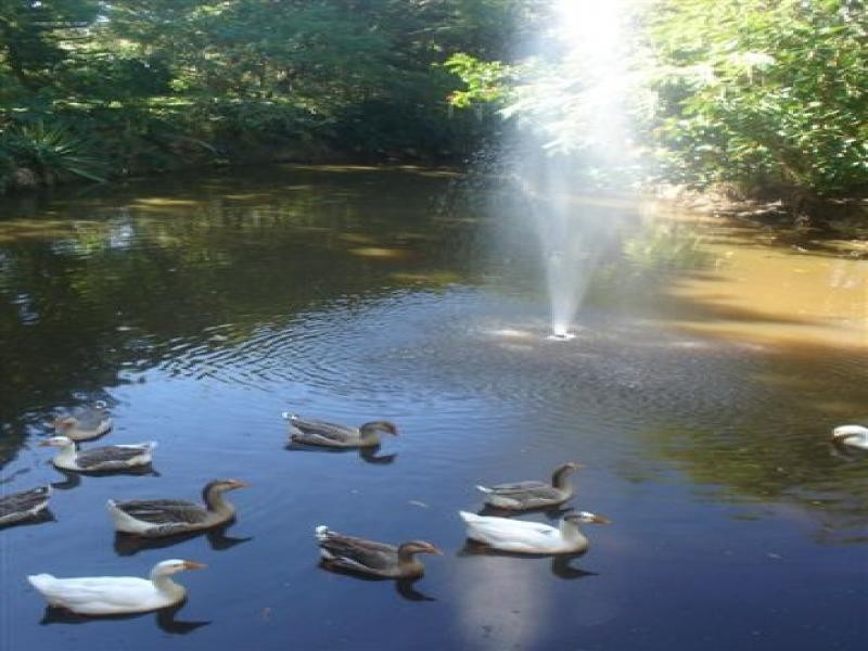 96 Ermelo Road, Belmont QLD 4153