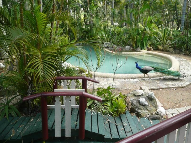 96 Ermelo Road, Belmont QLD 4153