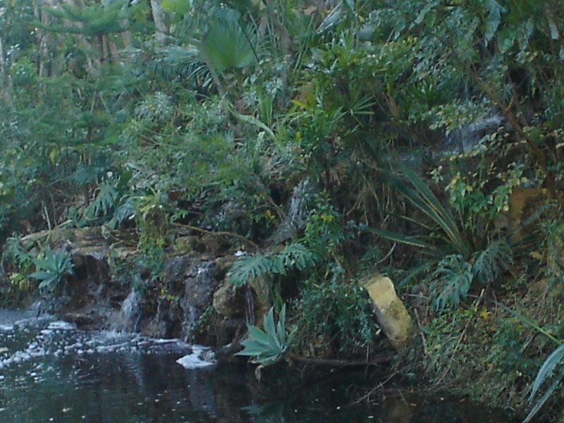 96 Ermelo Road, Belmont QLD 4153