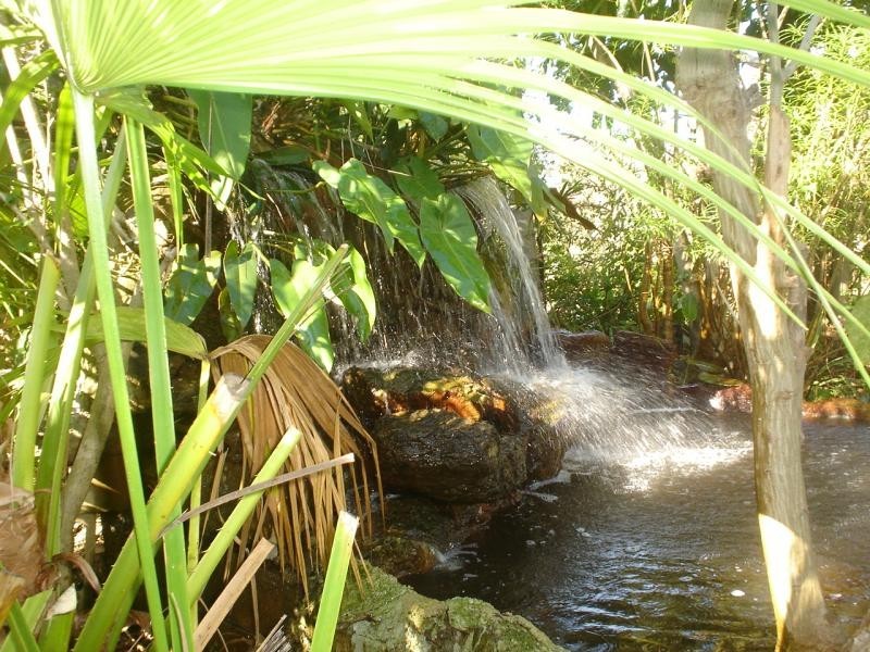 96 Ermelo Road, Belmont QLD 4153