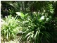 261 Kianawah Road, Wynnum West QLD 4178