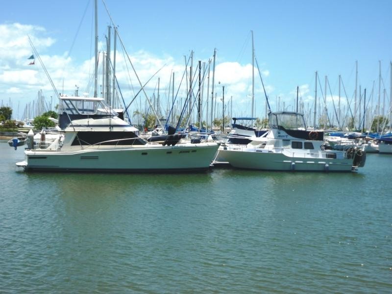 59 Macdonald Street, Lota QLD 4179