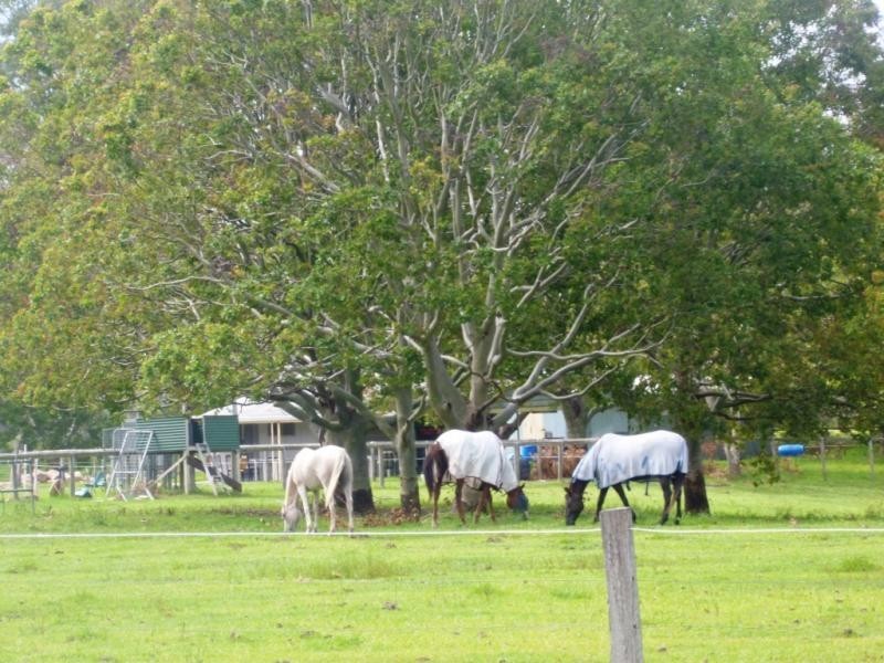 Unit 11 30 Meadowlands Road, Carina QLD 4152