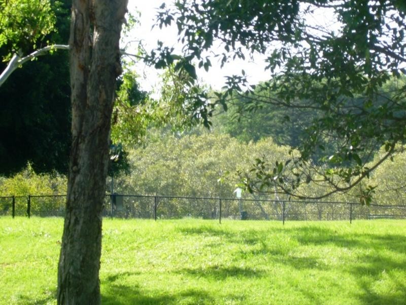 6 Villiers Street, Lota QLD 4179