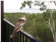 3 Island Outlook, Macleay Island QLD 4184
