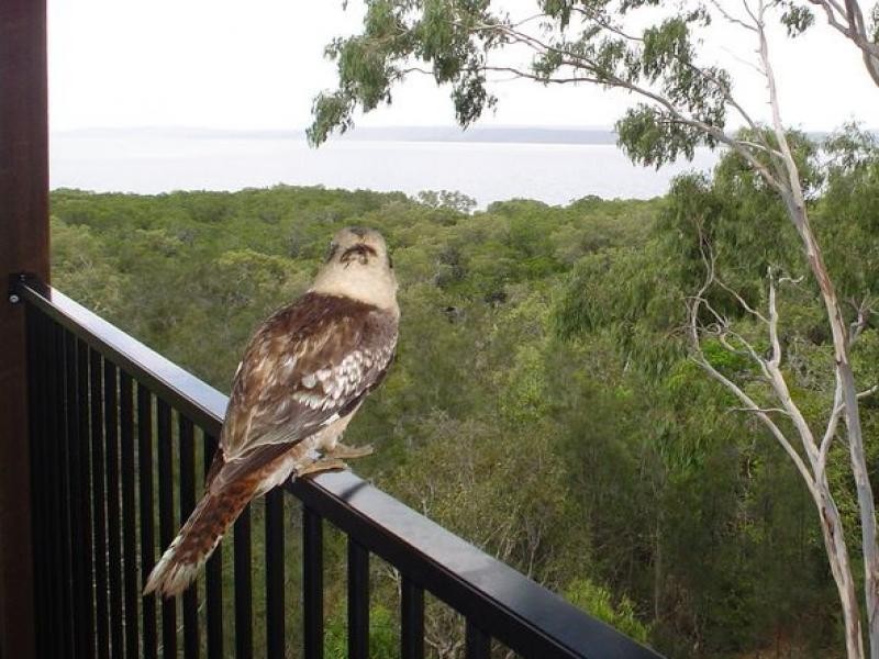 3 Island Outlook, Macleay Island QLD 4184