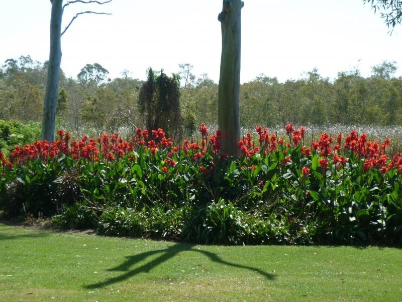 51 Sandy Camp Road, Wynnum QLD 4178