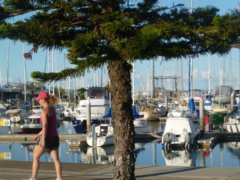 114 Preston Road, Manly West QLD 4179