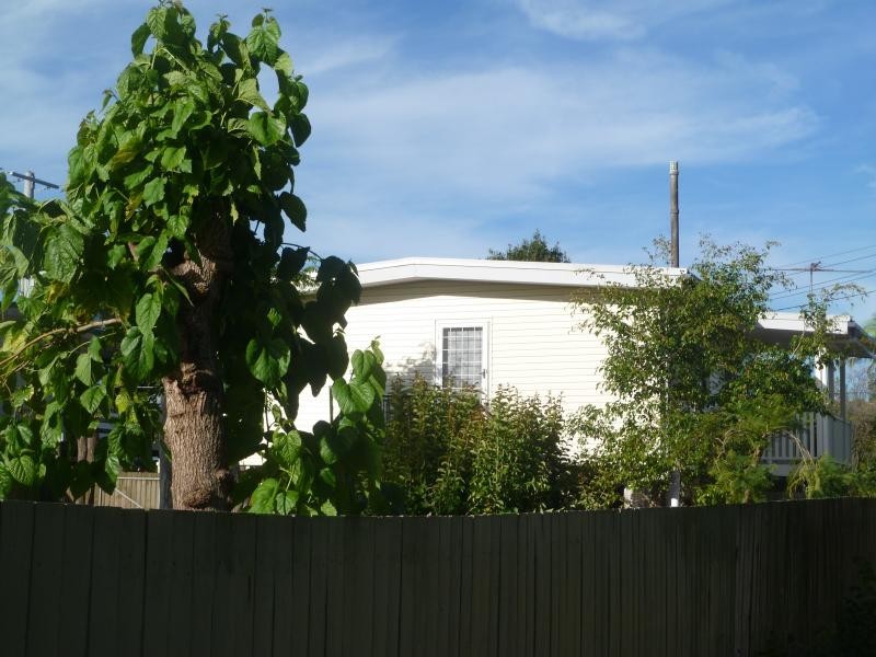 53 Tantani Street, Manly West QLD 4179