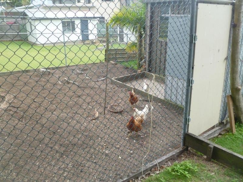 20 Shepherd Street, Wynnum QLD 4178