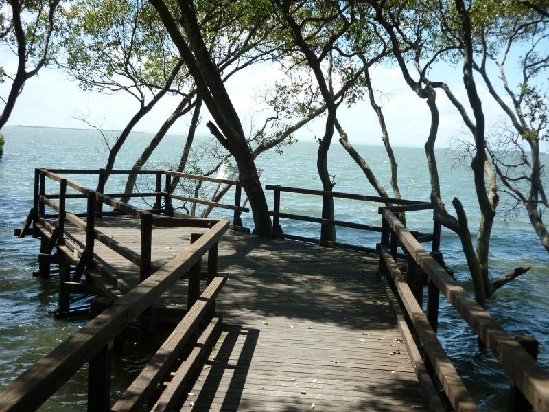 20 Shepherd Street, Wynnum QLD 4178