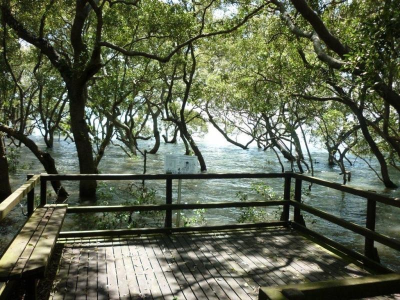 368 Wynnum North Road, Wynnum QLD 4178