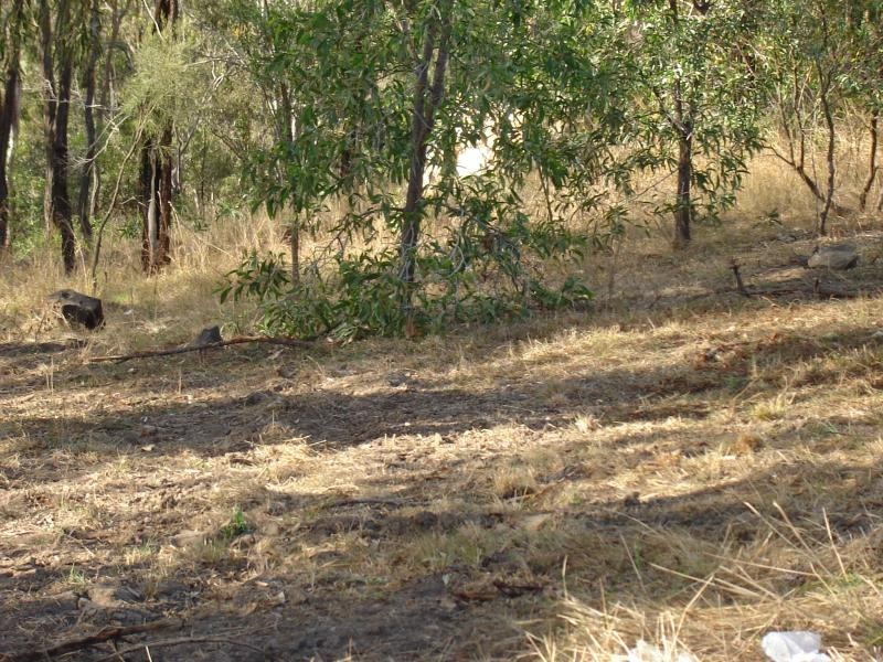 6 Muirhead Close, Kooralbyn QLD 4285