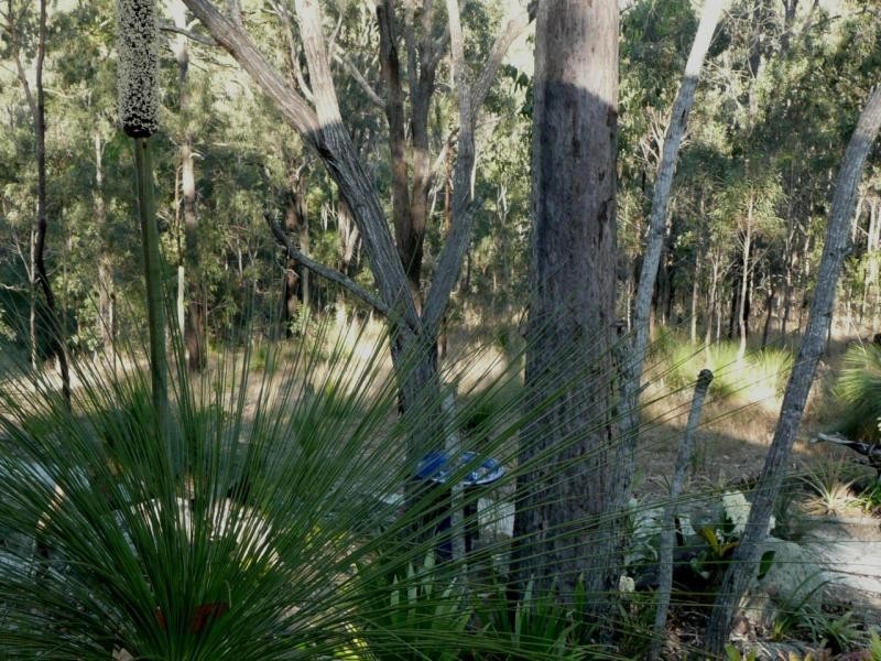 131 Campbell Drive, Kooralbyn QLD 4285