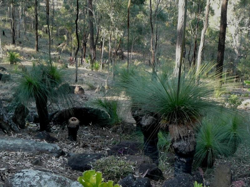 131 Campbell Drive, Kooralbyn QLD 4285