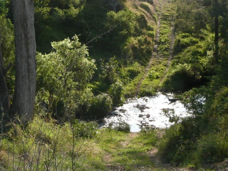 Kooralbyn QLD 4285