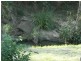 Kooralbyn QLD 4285