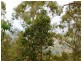 Kooralbyn QLD 4285
