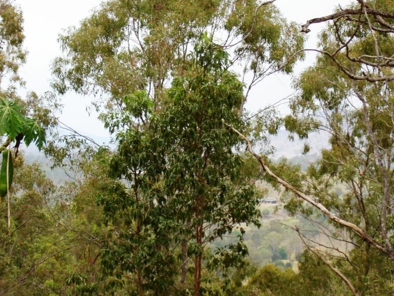 Kooralbyn QLD 4285