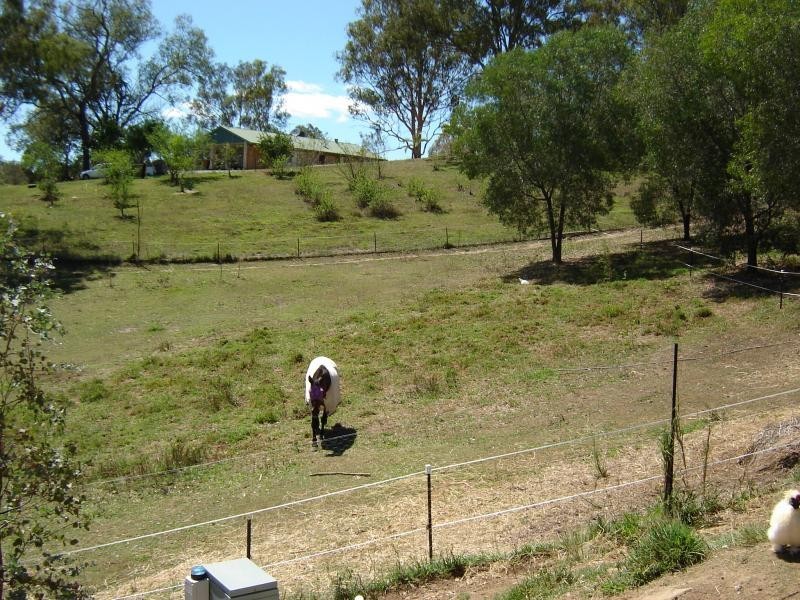 48  Randwick Drive, Mundoolun QLD 4285