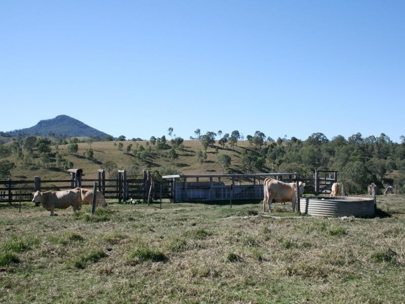 Maroon QLD 4310