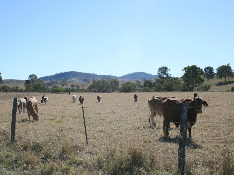 Maroon QLD 4310