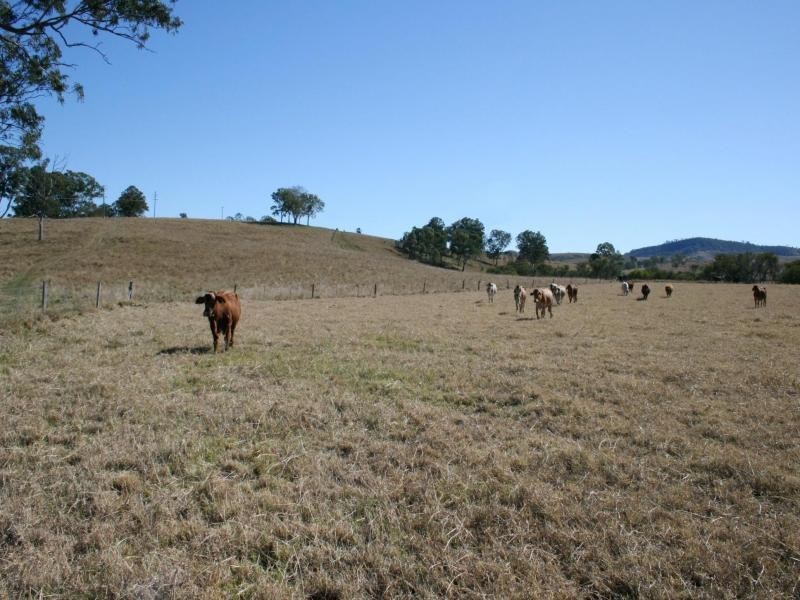 Maroon QLD 4310