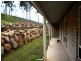 Kooralbyn QLD 4285