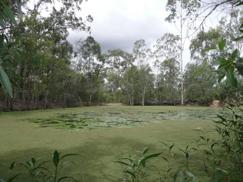 Jimboomba QLD 4280