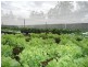 Jimboomba QLD 4280