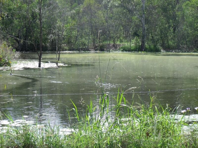 North Maclean QLD 4280
