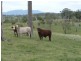 Boonah QLD 4310