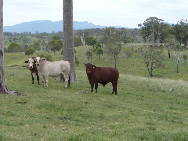 Boonah QLD 4310