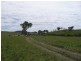 Boonah QLD 4310