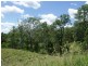 Veresdale Scrub QLD 4285