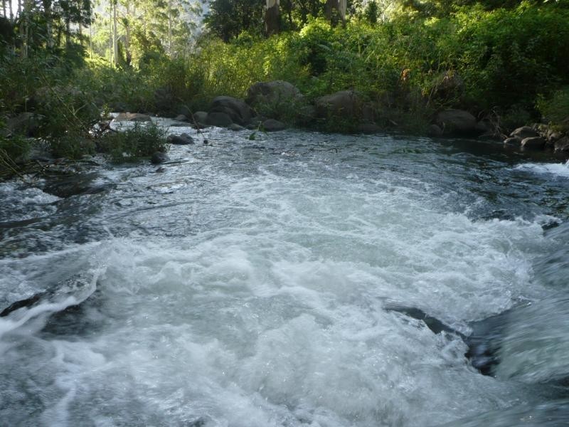 Christmas Creek QLD 4285