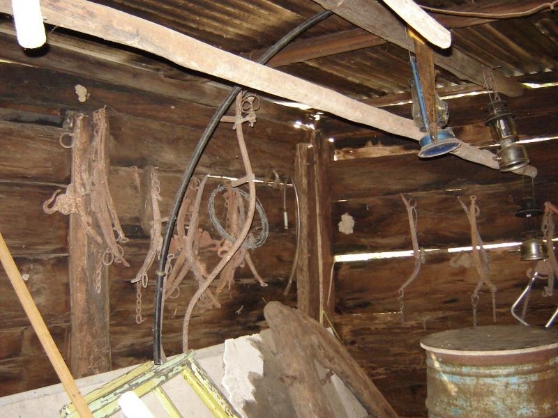 Christmas Creek QLD 4285