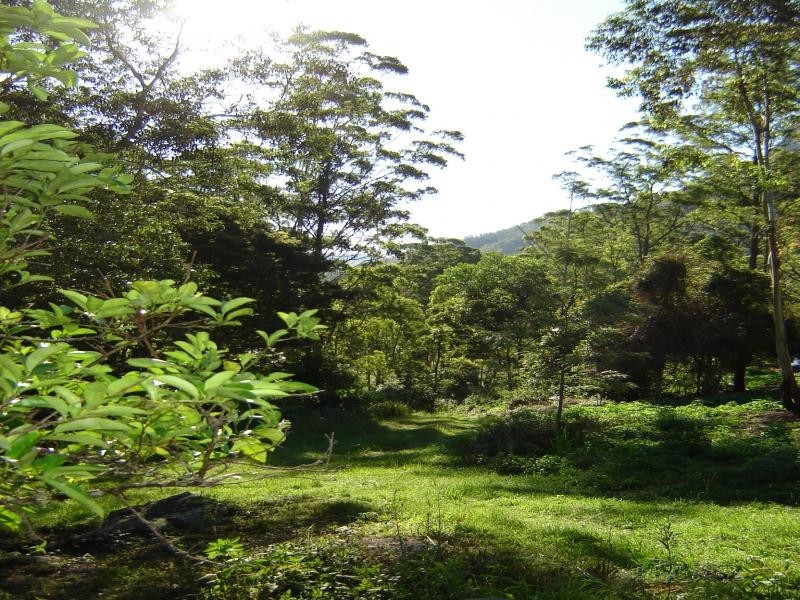 Christmas Creek QLD 4285