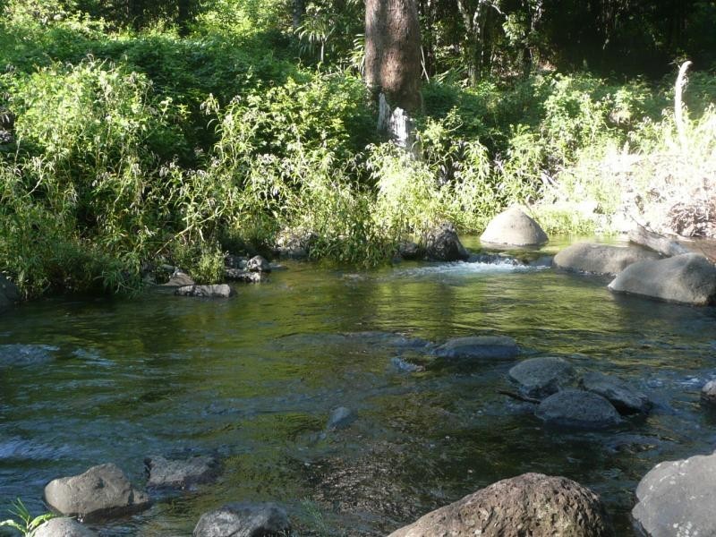 Christmas Creek QLD 4285