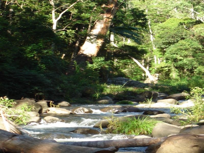 Christmas Creek QLD 4285