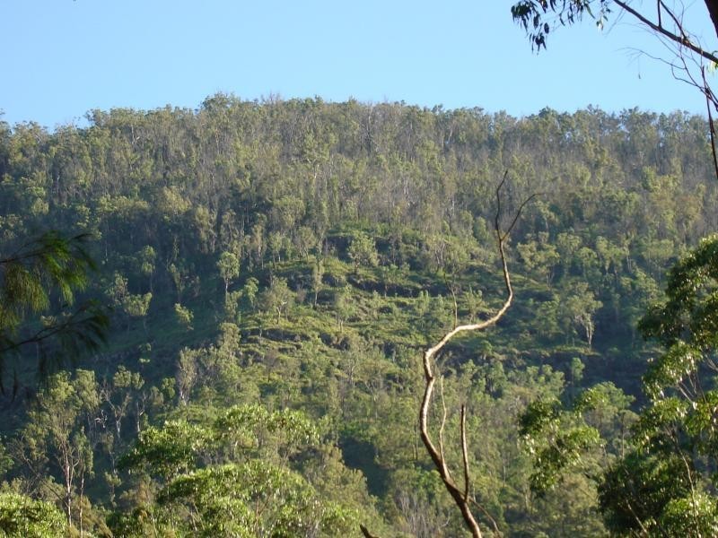 Christmas Creek QLD 4285