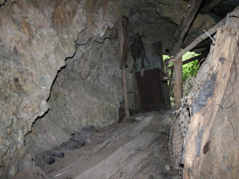 Christmas Creek QLD 4285