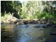Christmas Creek QLD 4285