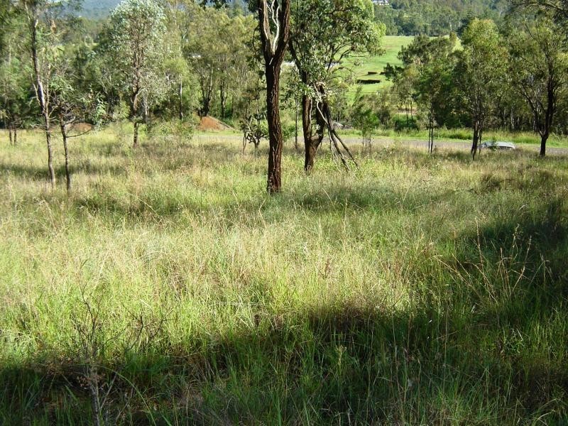 Kooralbyn QLD 4285
