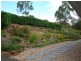 47 Wyndham Place, Kooralbyn QLD 4285
