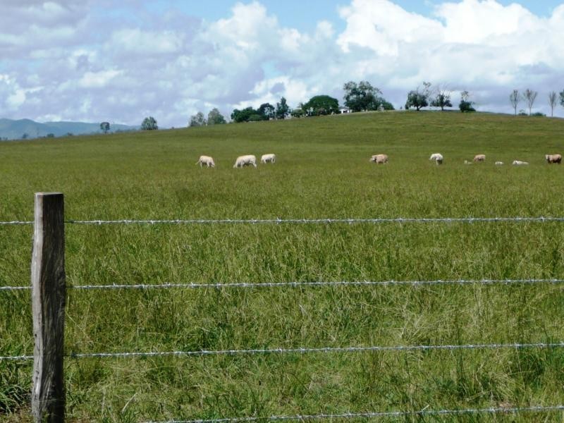 Laravale QLD 4285