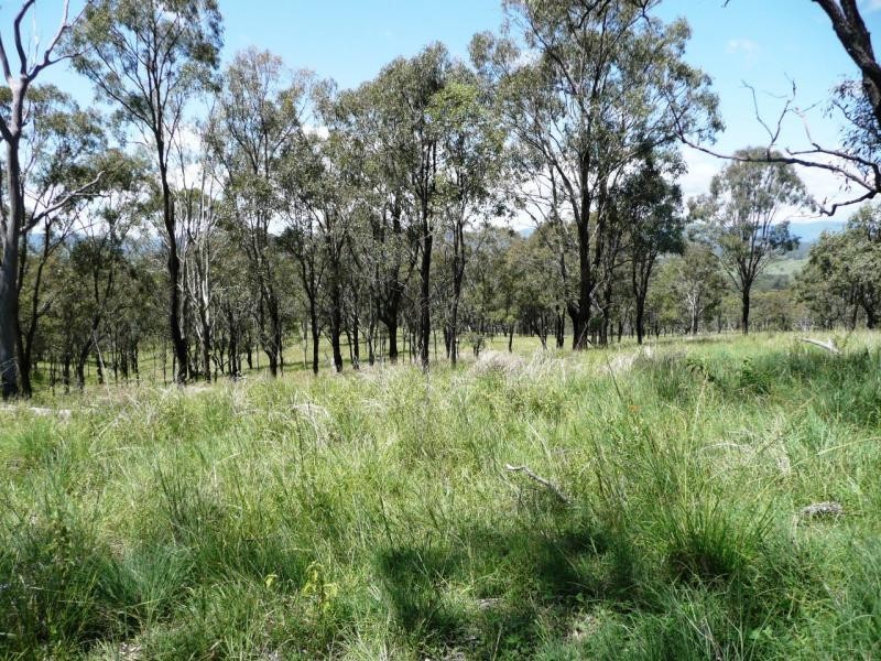 Innisplain QLD 4285
