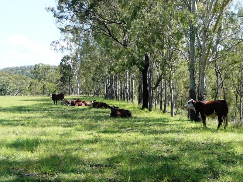 Innisplain QLD 4285
