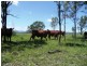 Innisplain QLD 4285