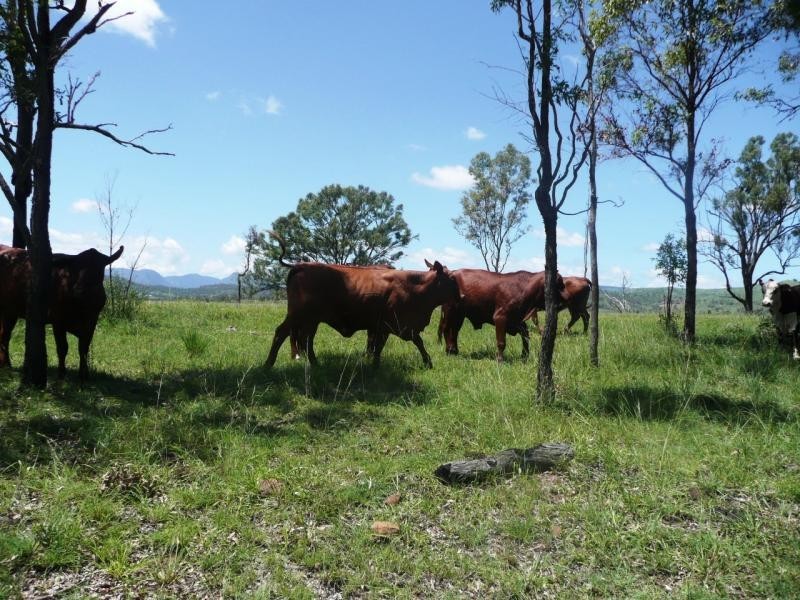 Innisplain QLD 4285